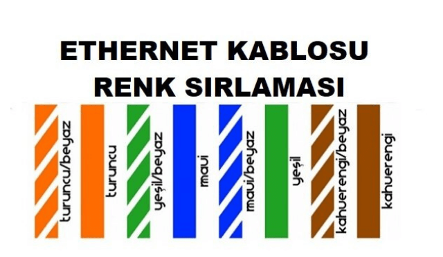 CAT6 Renk Kabloları