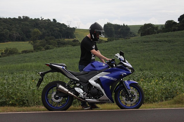 Yamaha R25  Teknik Özellikleri